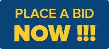 Place a bid now